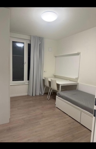 Ein möbliertes Zimmer in einer 2-Zimmer-Wohnung / A furnished Private room in a 2-Room Flat — photo 1
