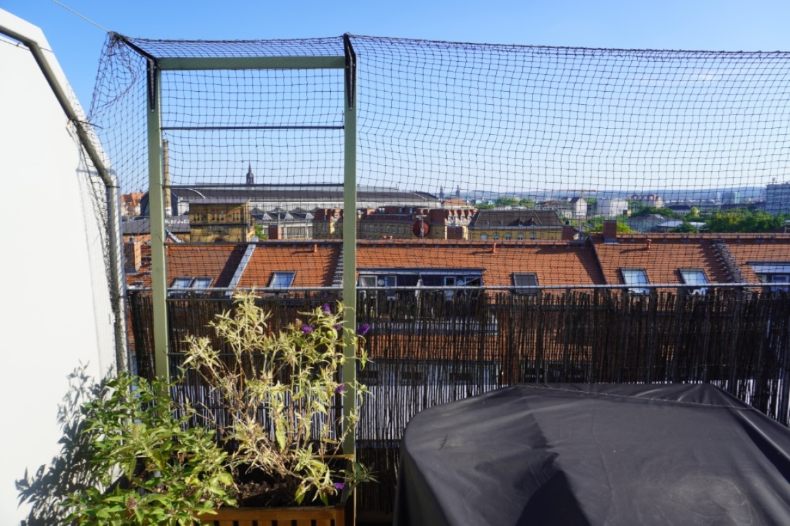 Möblierte Maisonette-Wohnung mit Dachterrasse und Stellplatz in der Dresdner Neustadt zur Zwischenmiete – Lößnitzstraße, 1097 Dresden Leipziger Vorstadt – Vorschaubild 8
