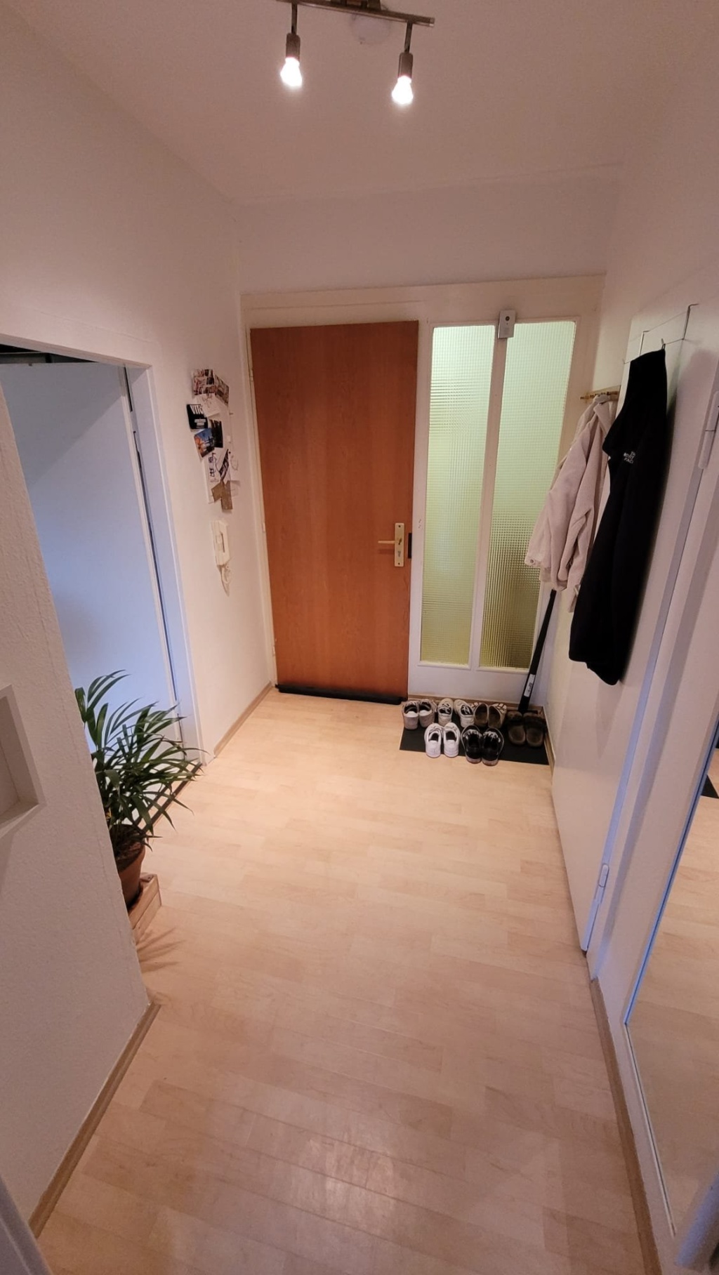 Gemütlich 2-Zimmer Wohnung in Alt-Erlangen/ 2er WG – Sankt Johann, 91056 Erlangen Alt-Erlangen – Vorschaubild 13