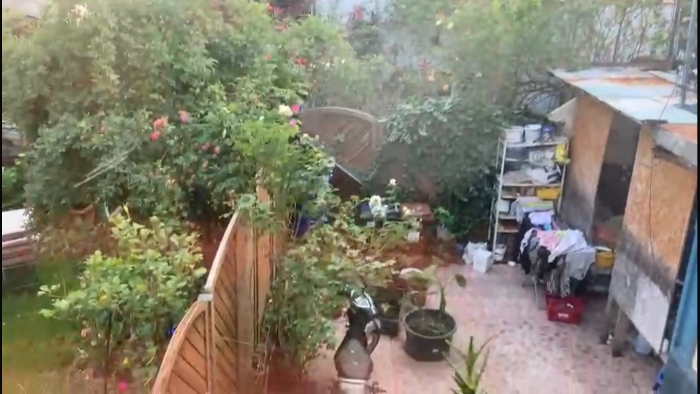 Wohnung Mitte Hospitalstraße - Blick von Küche auf Garten der Nachbarn