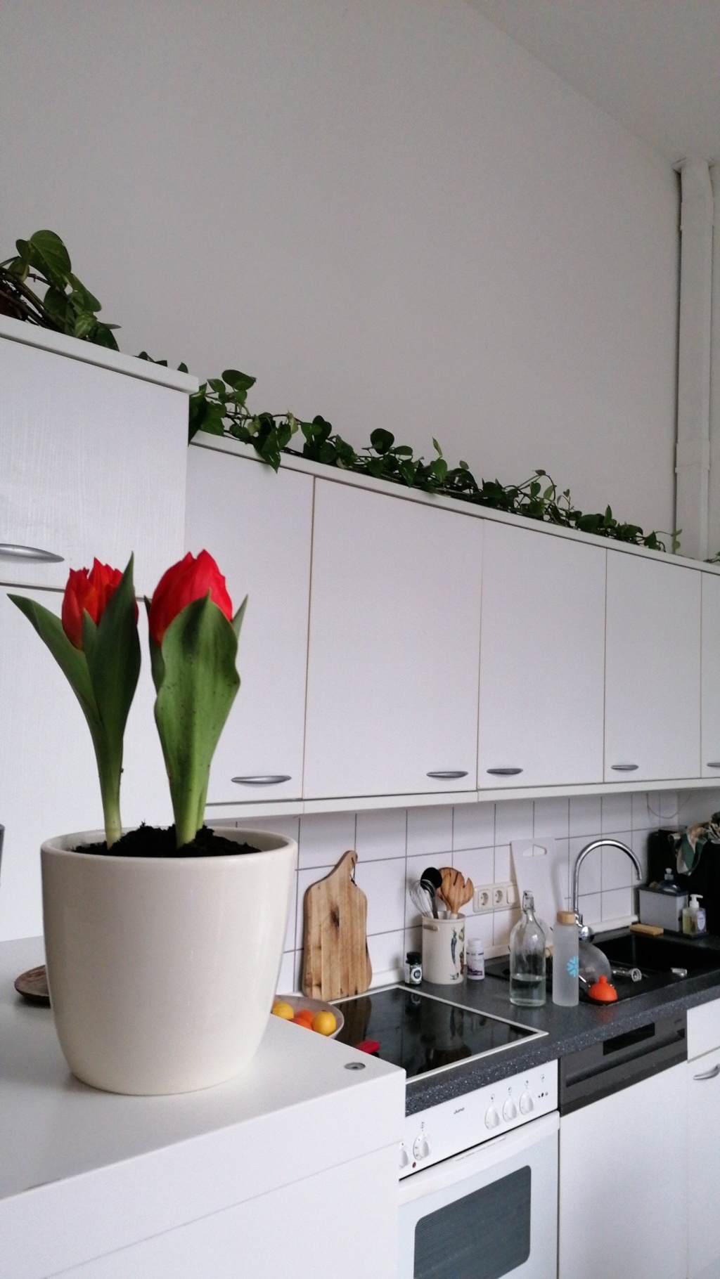 Helle möblierte Dachgeschosswohnung mit großer Südterrasse am Ku'damm – Xantener Straße, 10707 Berlin Charlottenburg-Wilmersdorf – Vorschaubild 8