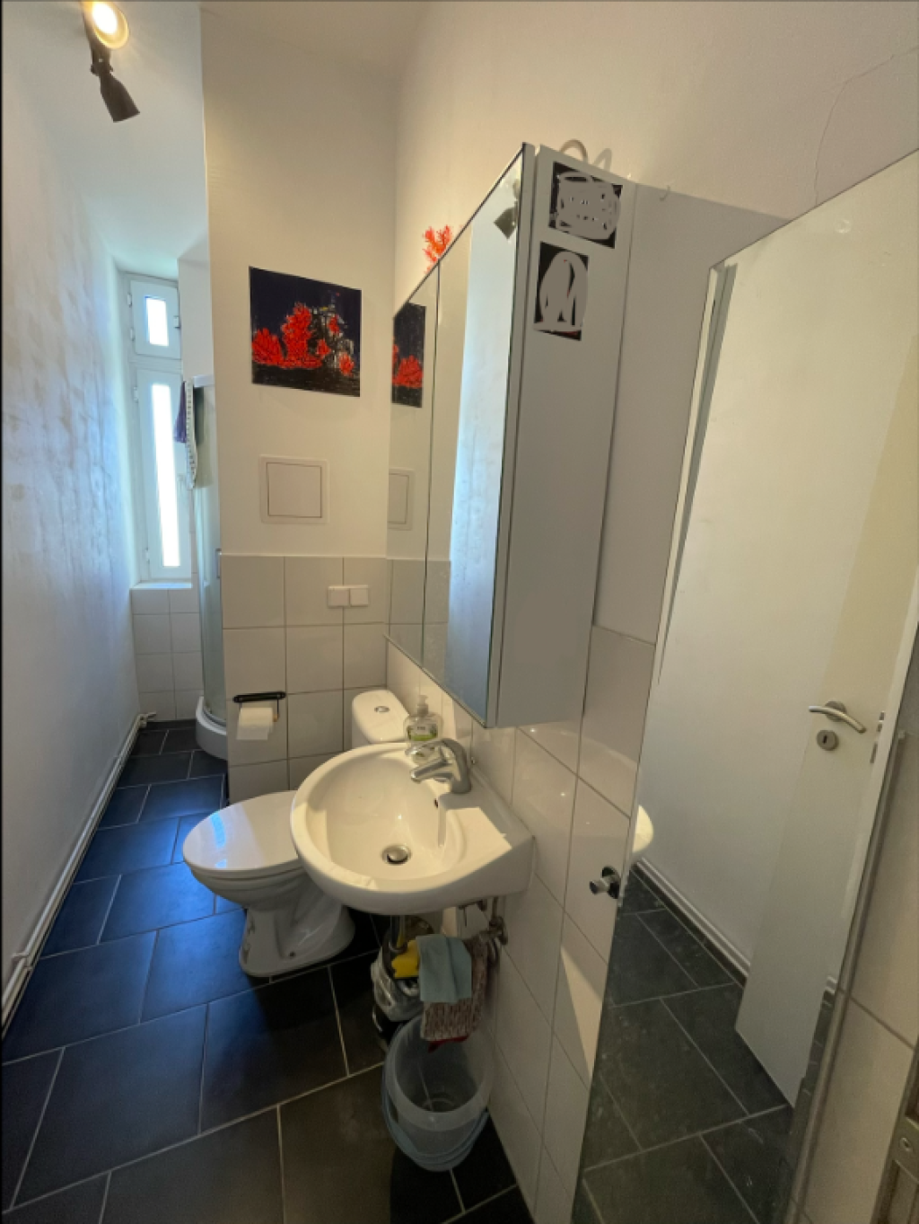 beautiful 1 room apartement for 1 month in Berlin - Wedding ✨🌟 – Sprengelstraße, 13353 Berlin Wedding – Vorschaubild 3