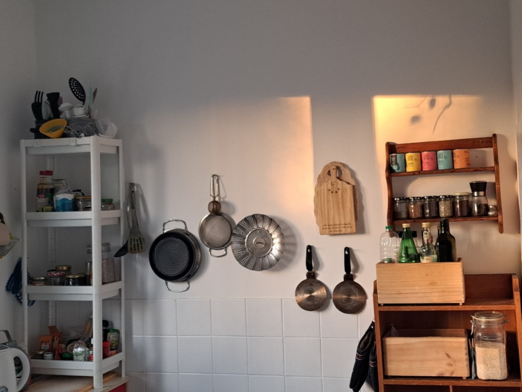 Flat Plänterwald Platanenweg - küche vollll ausgestattet