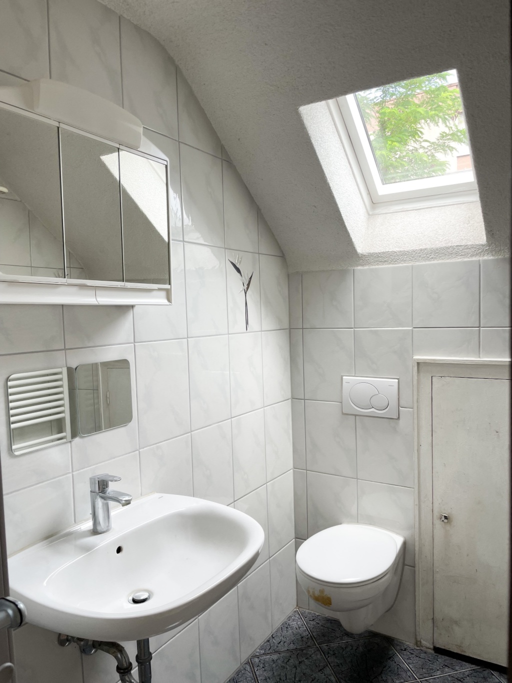 1 Room Flat Neckarstadt Zeppelinstraße  27 - Badezimmer