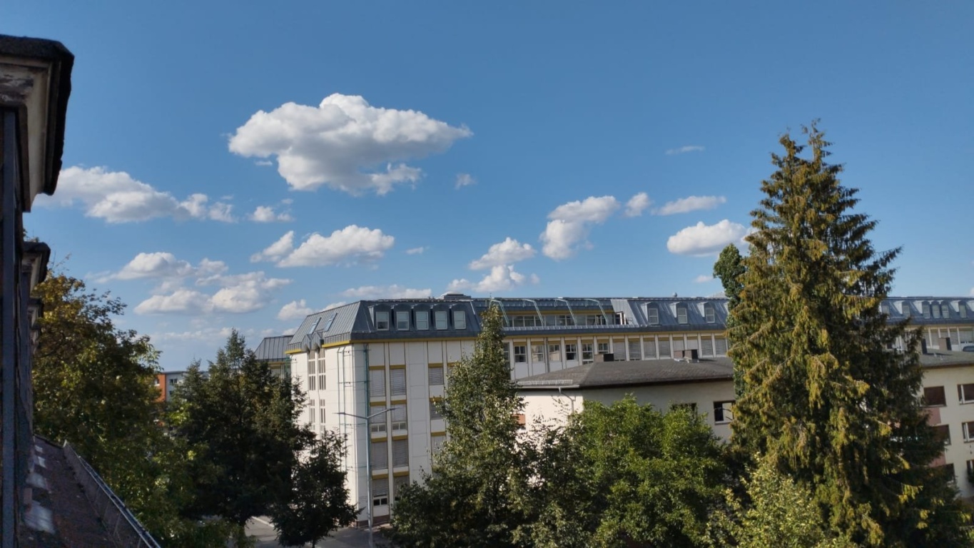 Flat Innenstadt Ostanlage - Fensterblick