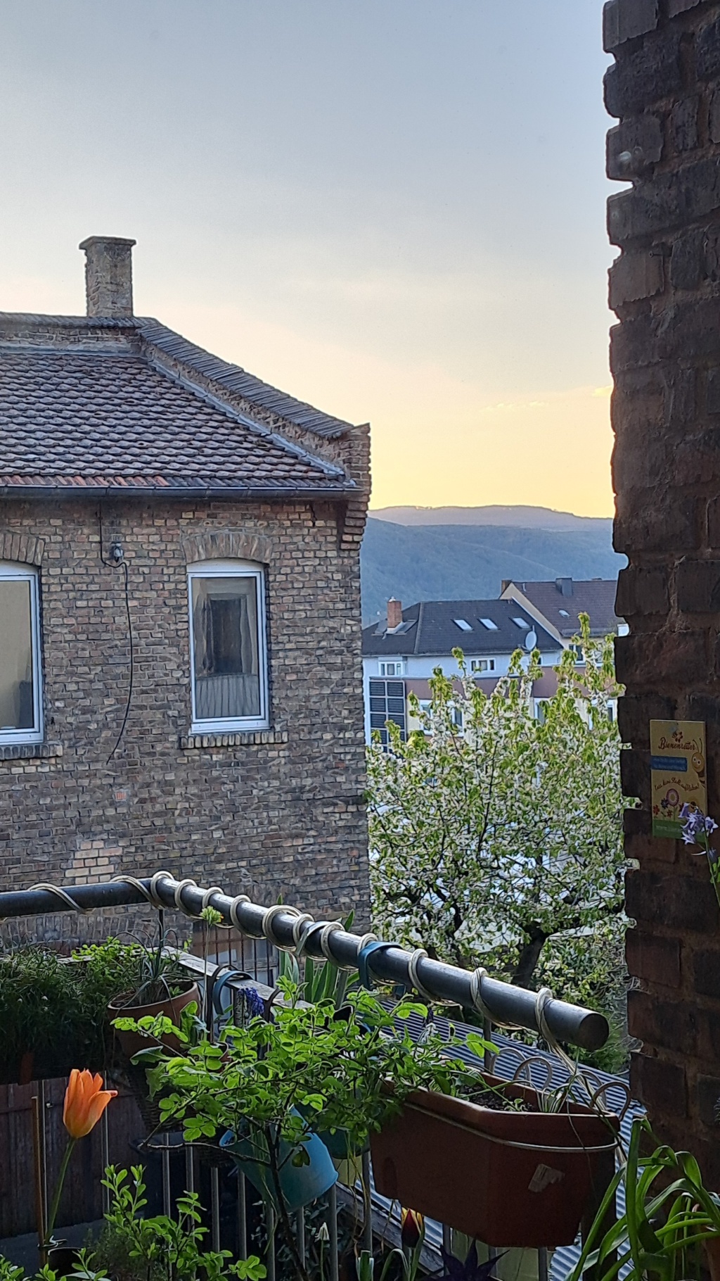 WG-Zimmer Innenstadt Dr.-Sieglitz-Straße 8 - Blick aus  dem Zimmerfenster