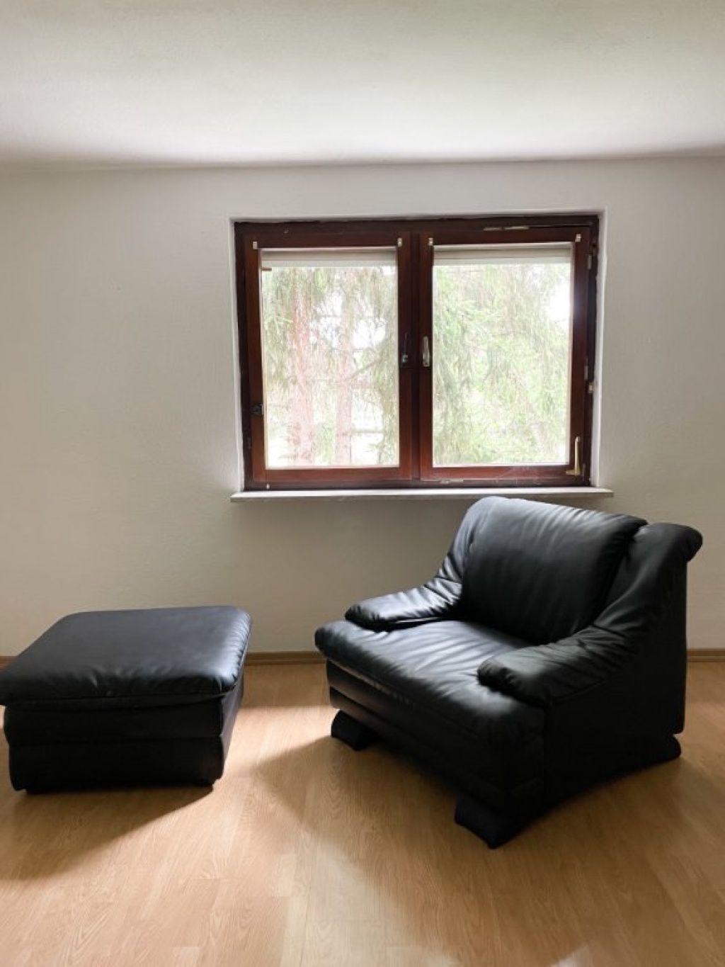 1 Room Flat Neckarstadt Zeppelinstraße  27 - Wohnbereich