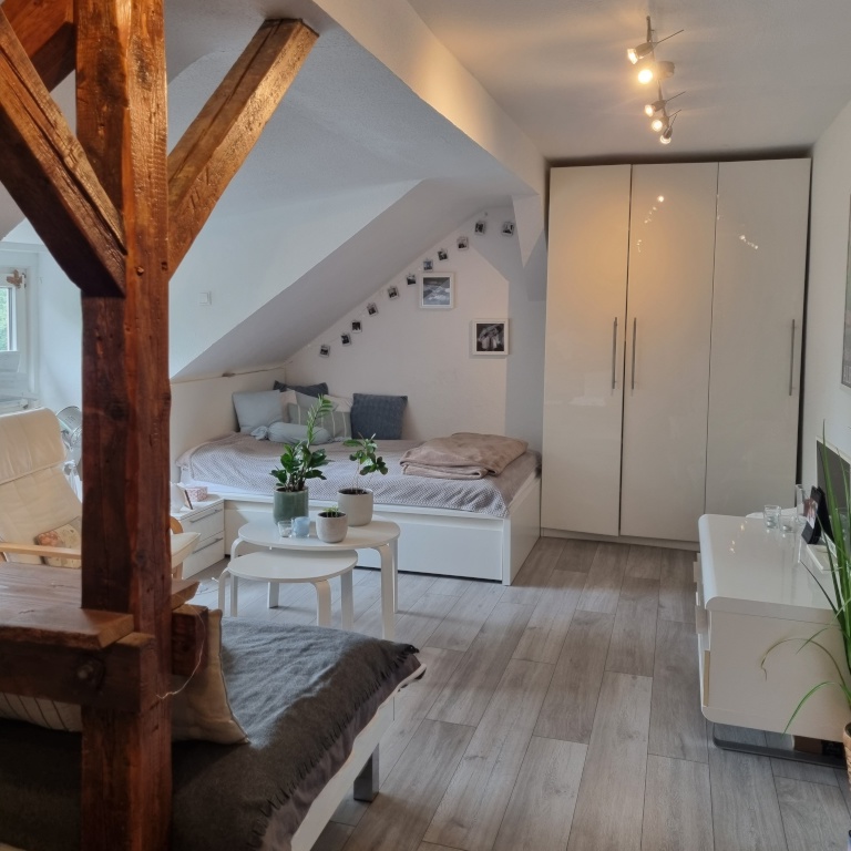 möblierte Einzimmerwohnung zur Untermiete, befristet