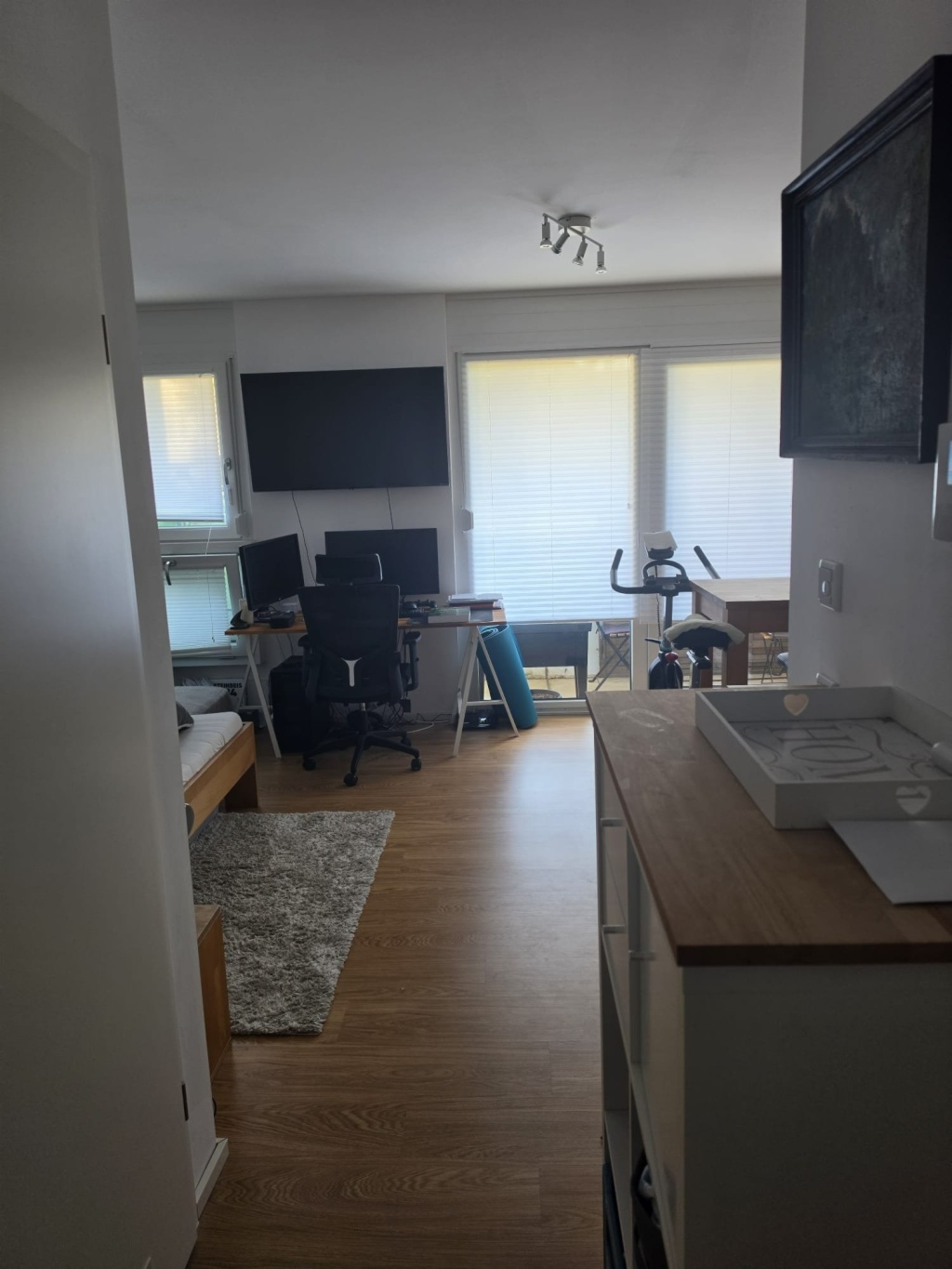 1-Zimmer-Wohnung Ostenviertel Georg-Aichinger-Straße 2 - Wohnzimmer - Ansicht Eingang