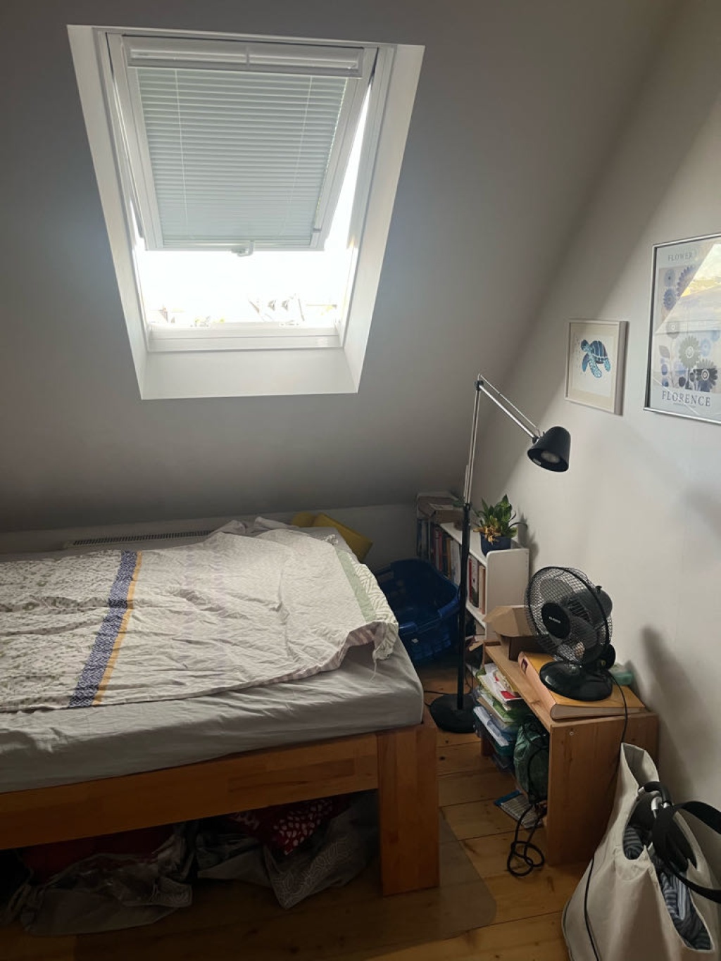 WG-Zimmer Höchst Kasinostraße - Bild 2