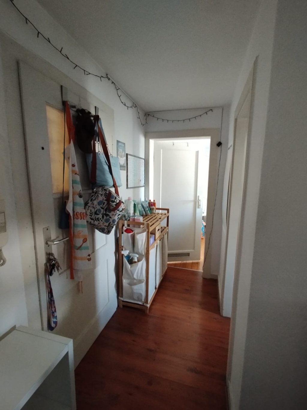 Flat Innenstadt Ostanlage - Flur