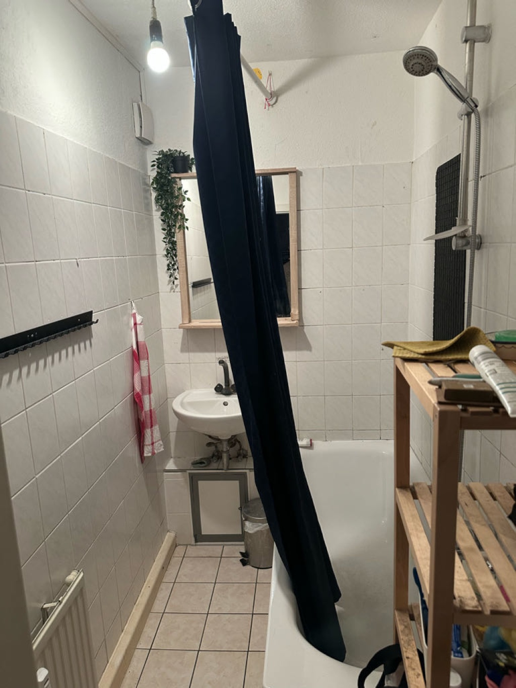 Flatshare Stadtfeld Ost Schenkendorfstraße 13 - picture 2