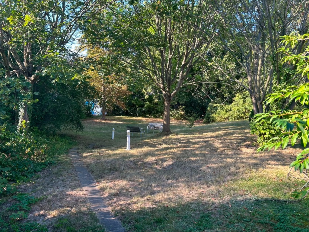 TU nahe Wohnung mit Garten - Nachmiete ab 01.09.26 – Liebigstraße 32, 1187 Dresden Plauen – Vorschaubild 15