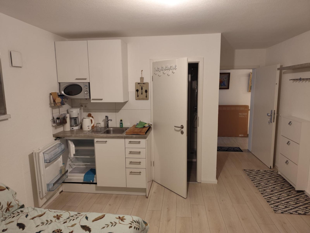 Ferienunterkunft 1 Zimmer Apartment vom 08.08.2026 bis 30.08.2026 – Am Ergatshauser Hof 3, 78467 Konstanz Konstanz – Vorschaubild 4