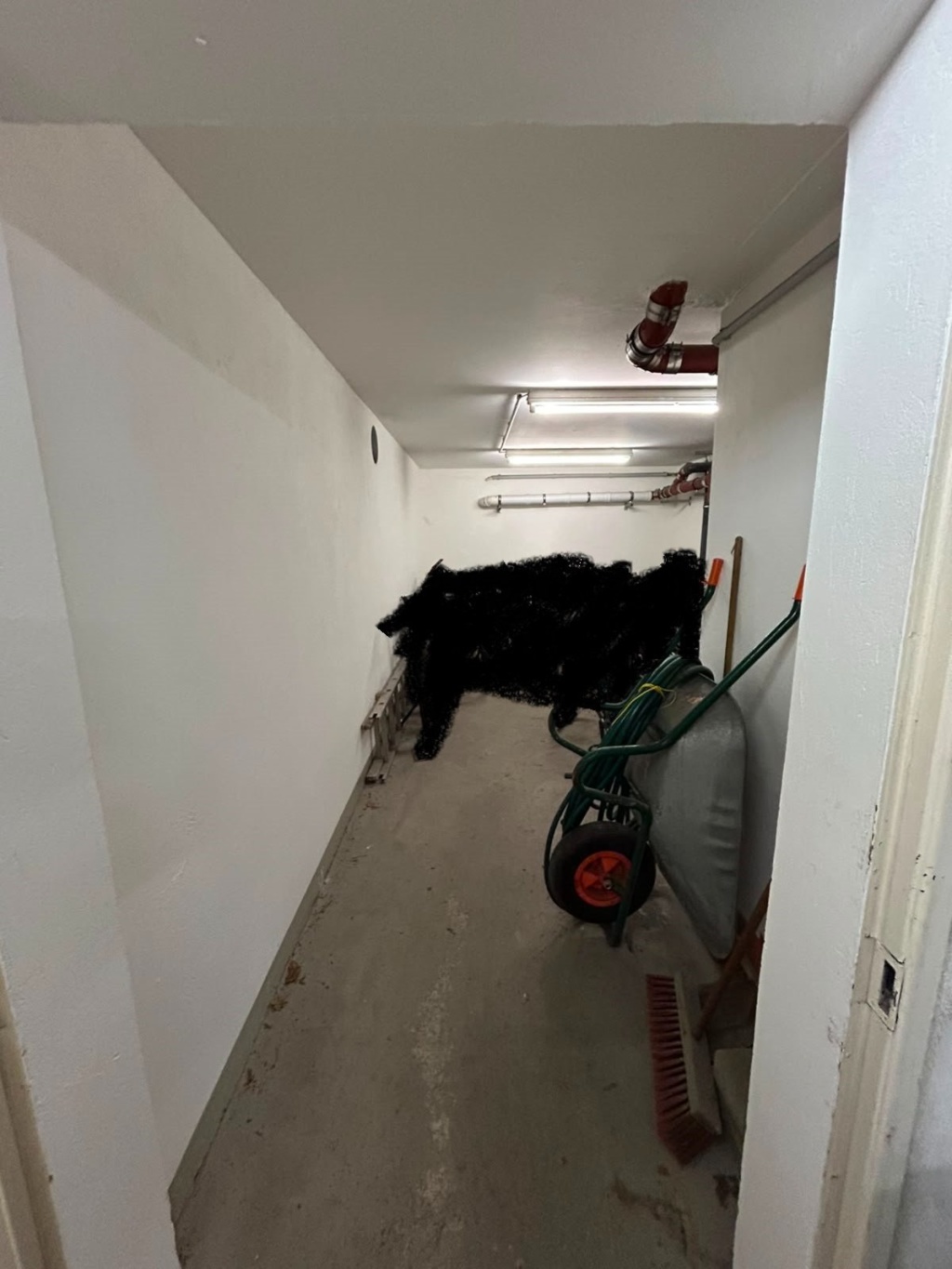 TU nahe Wohnung mit Garten - Nachmiete ab 01.09.26 – Liebigstraße 32, 1187 Dresden Plauen – Vorschaubild 14