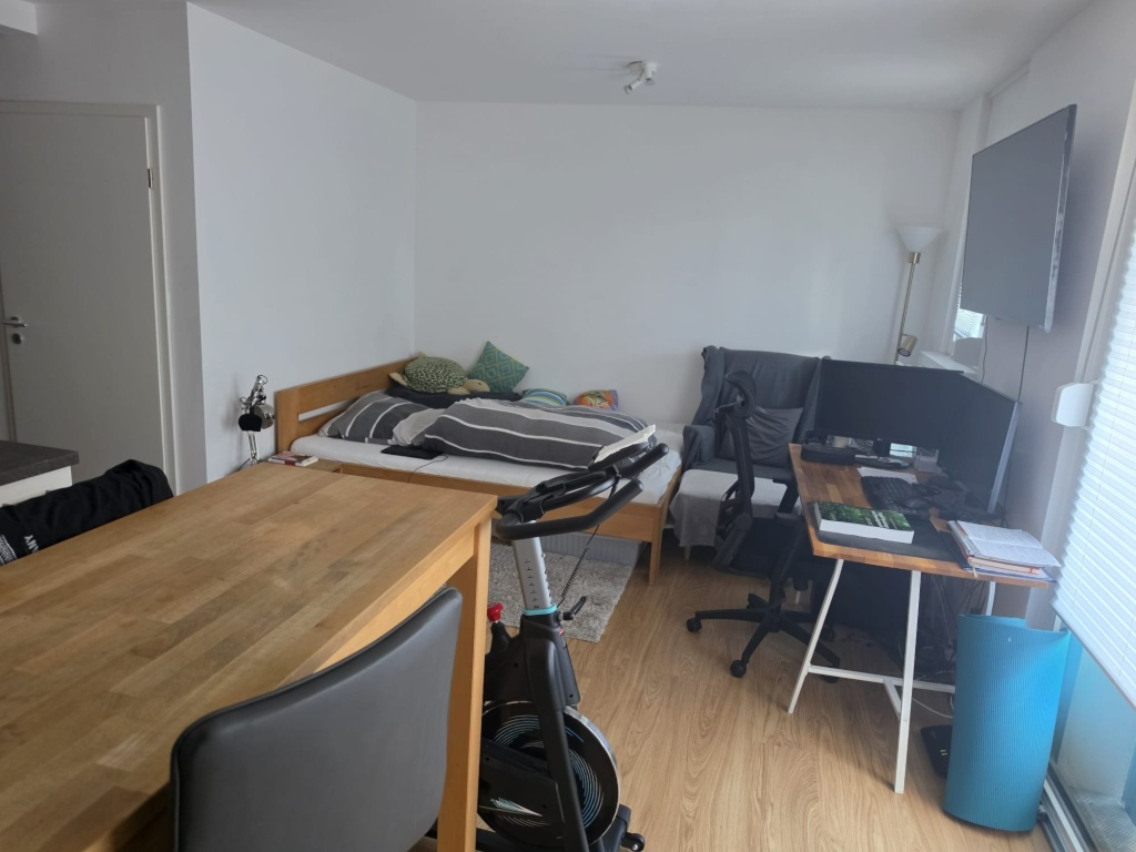 1-Zimmer-Wohnung Ostenviertel Georg-Aichinger-Straße 2 - Wohnzimmer - Ansicht Küche