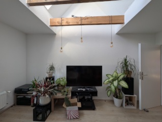 Ad image: 2-Zimmerwohnung Schellheimerplatz