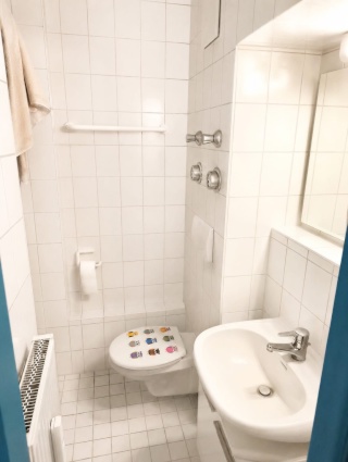 Anzeigenbild: Vermiete 1 Zimmer App. mit ca. 23 qm Wohnfläche incl. eigen PKW Stellplatz ab 01.10.2026