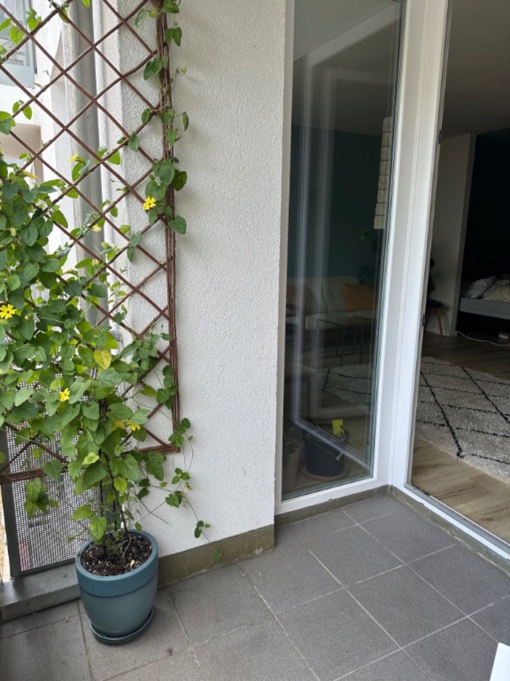 Hübsches, kleines Appartement in Köln Zollstock - 15min bis in die City – Kalscheurer Weg 43, 50969 Köln Rodenkirchen – Vorschaubild 2