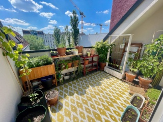 NUR Untermiete: 3 Zimmer DG Whg in Neukölln/ SUBLET Only: 3 Room Rooftop Apt. in Nkölln — photo 1
