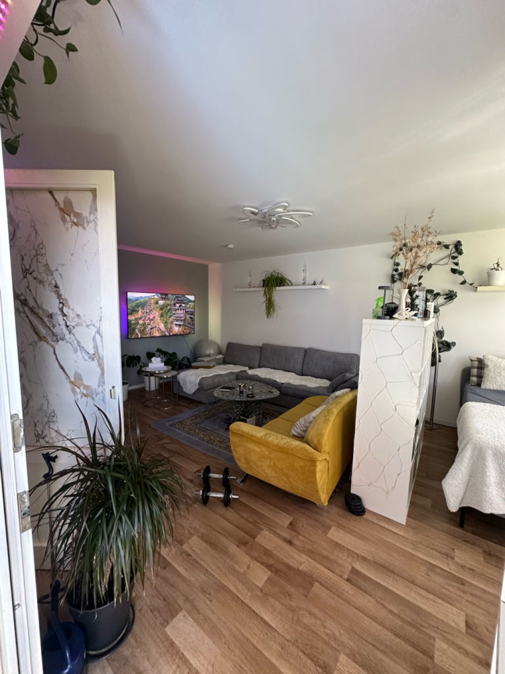 Flatshare Moabit Dreysestr  13 - picture 16