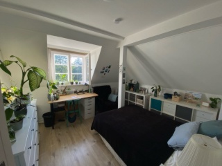 Anzeigenbild: Helles WG-Zimmer zur Zwischenmiete