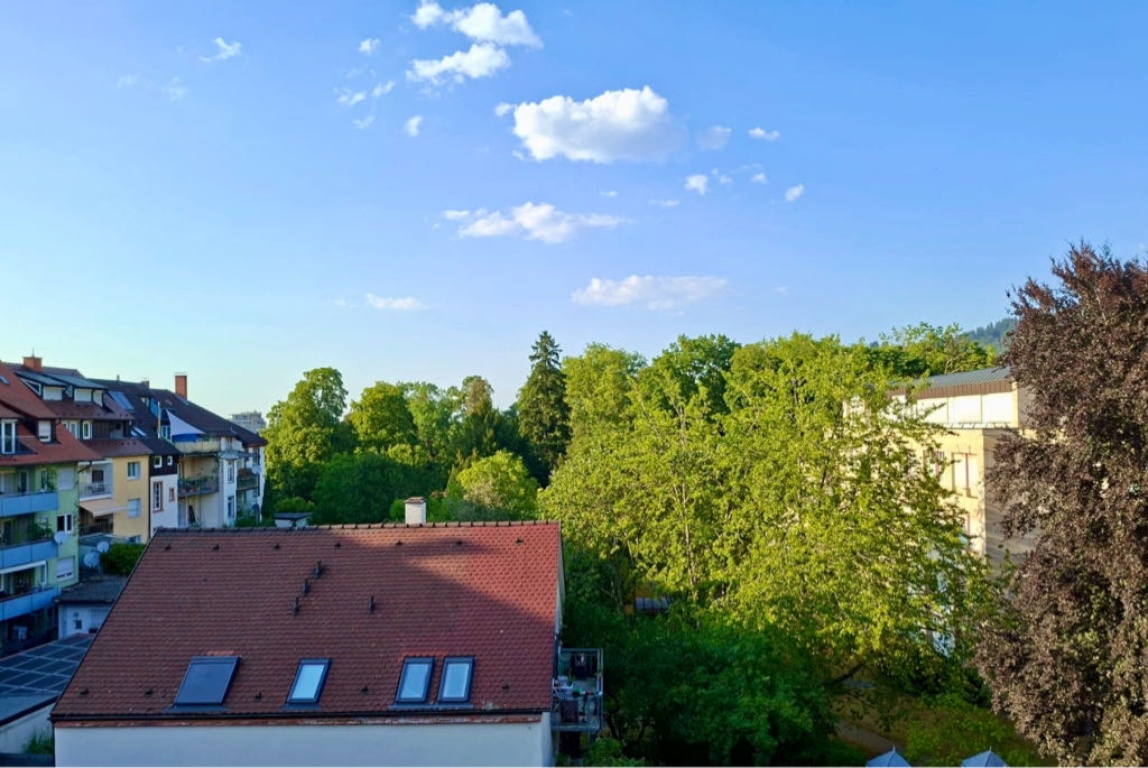 Flatshare Neuburg/Herdern Ludwigstraße - green paradise