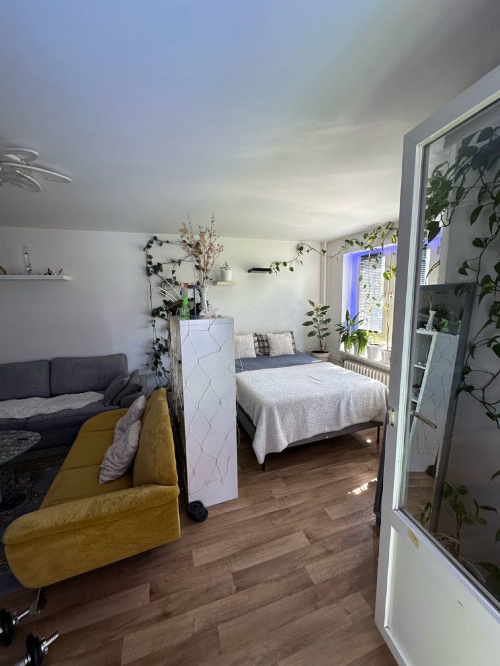 Flatshare Moabit Dreysestr  13 - picture 19