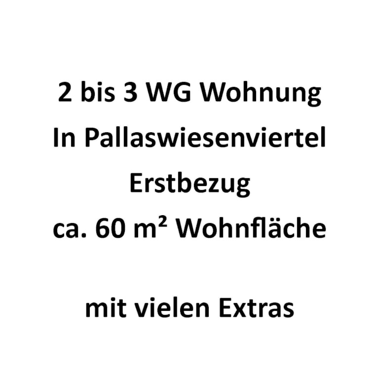 2 bis 3 WG Wohnung, Erstbezug, Pallaswiesenviertel mit viel Extra