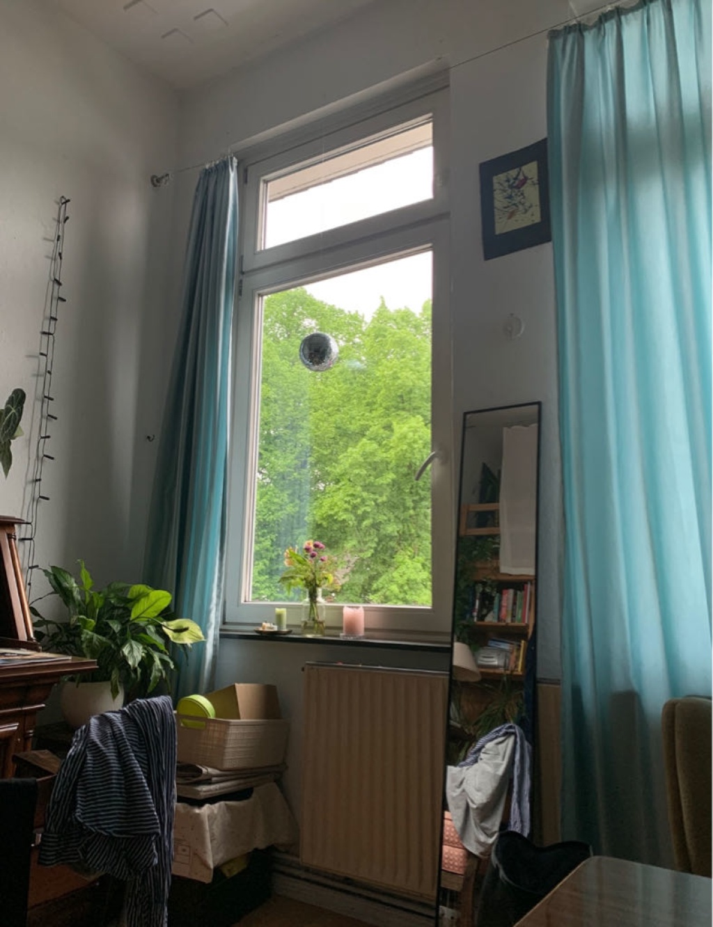 WG-Zimmer Alte Neustadt Donaustraße - Sommer