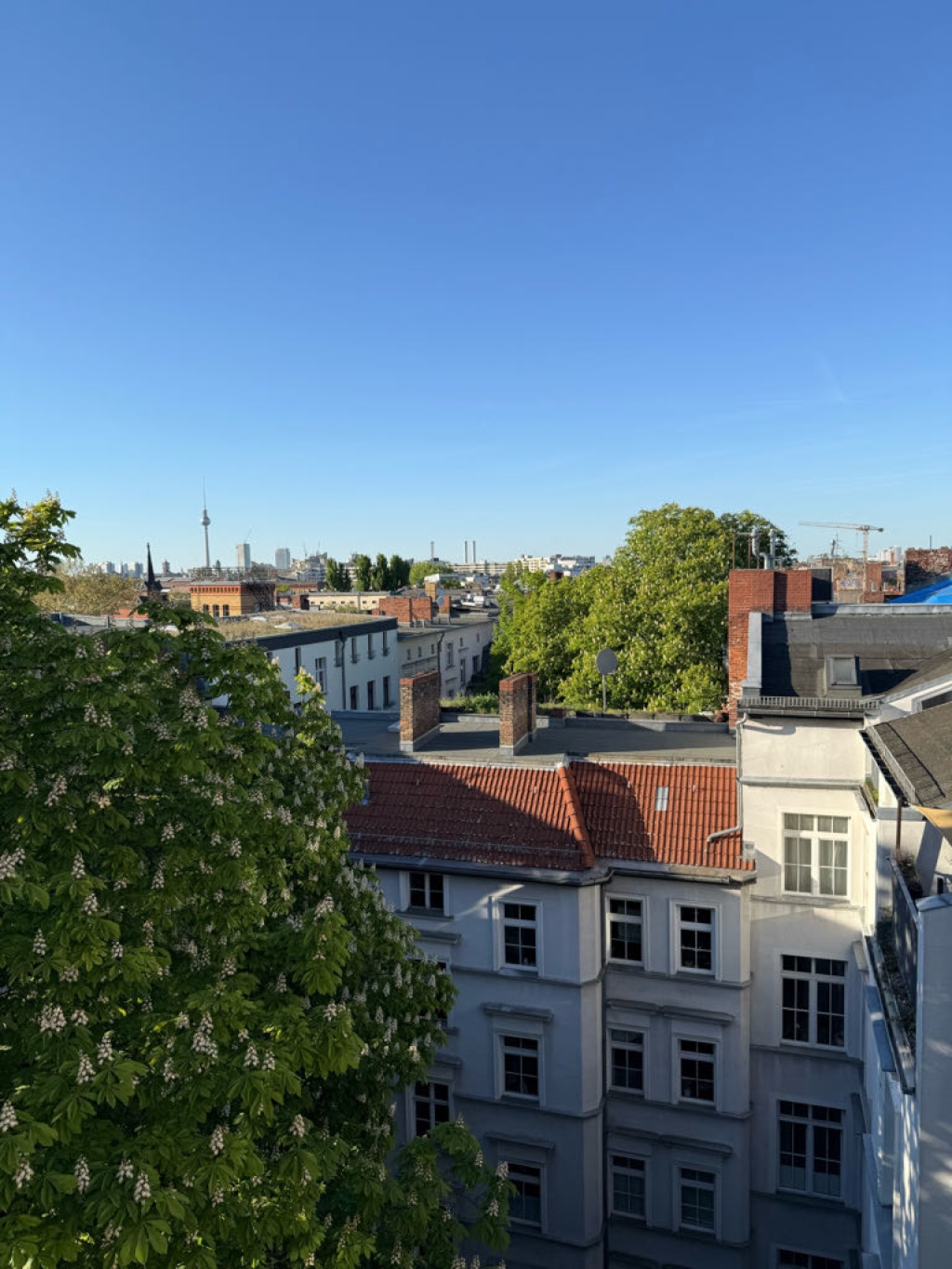 Flat Kreuzberg Dieffenbachstraße 56 - picture 18