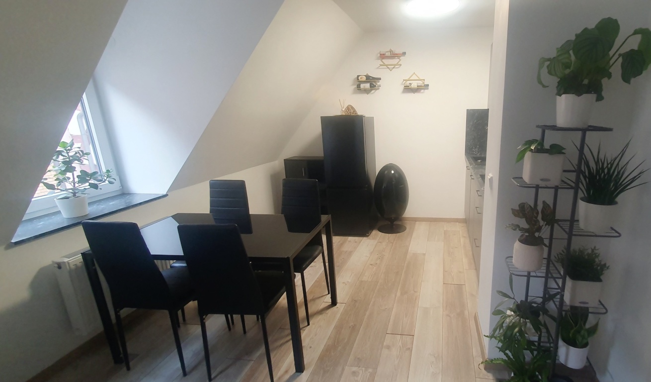 2-Zimmer-Wohnung im historischen Stadtzentrum (September 2026 - März 2027) – Pfeifergasse 15, 90402 Nürnberg Lorenz – Vorschaubild 2