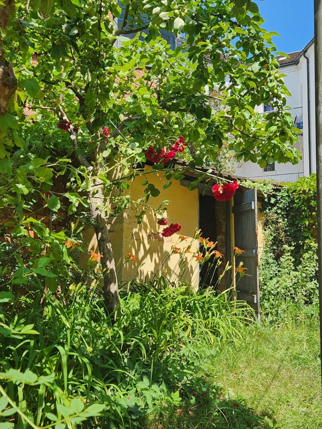 WG-Zimmer Innenstadt Gebbertstraße - Bild 13