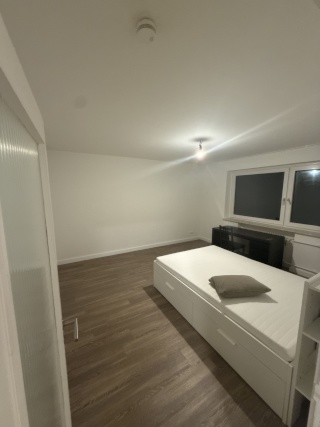 looking for friendly flatemate