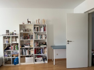 Anzeigenbild: 69 m2 Apartment available in Dresden Neustadt + Existing Furniture