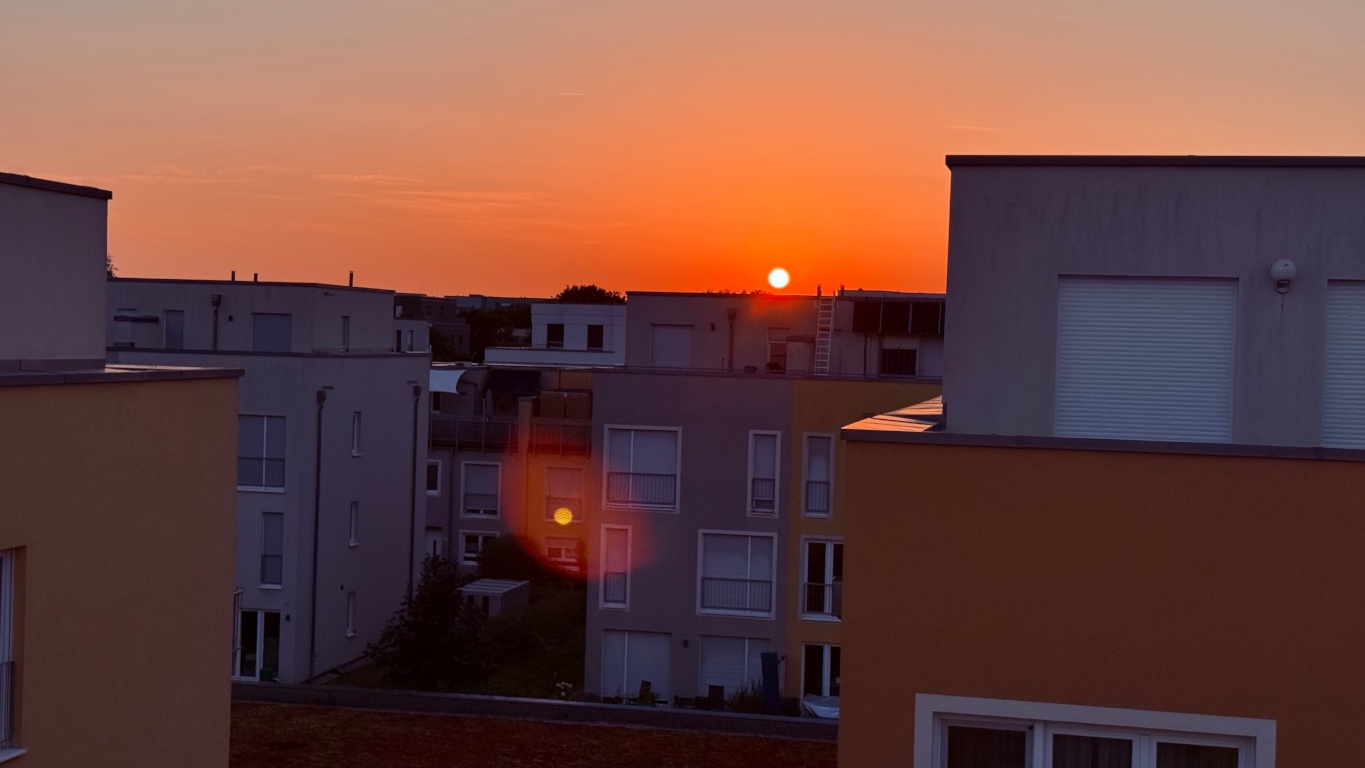 WG-Zimmer Adlershof Newtonstraße 11 - Ausblick 2. Dachterasse