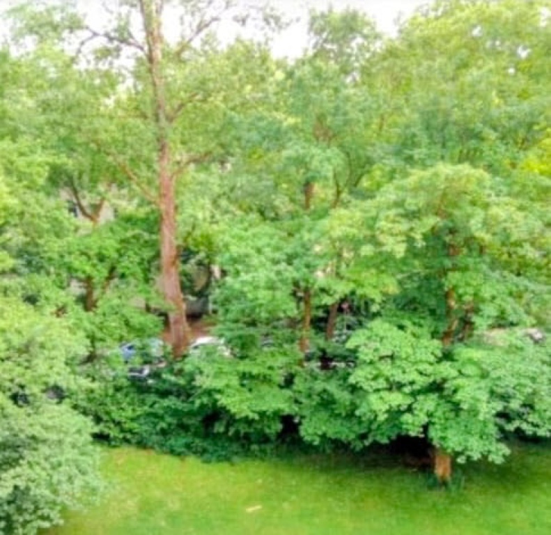 Wohnung Bogenhausen Buschingstraße 45 - Bild 13