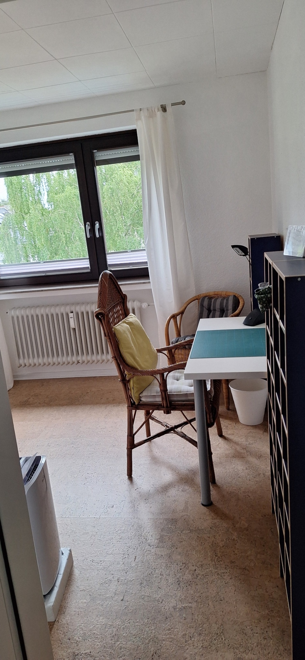 Renovierte, möblierte 3 Zimmer Whg Bürgerpark – Georg-Gröning-Straße, 28209 Bremen Schwachhausen – Vorschaubild 8