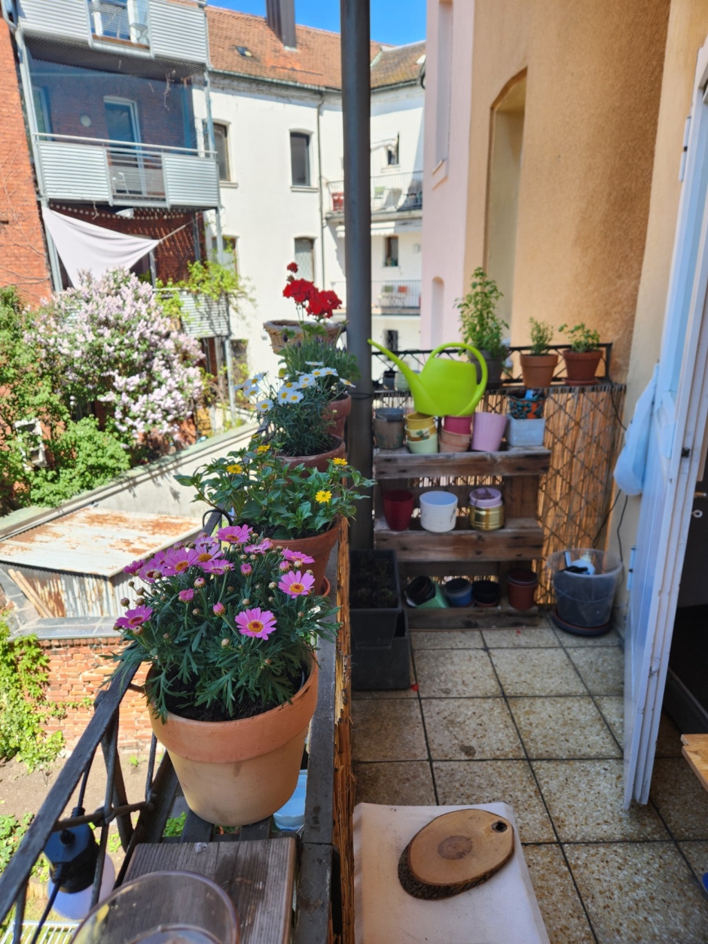 WG-Zimmer Innenstadt Gebbertstraße - Bild 11