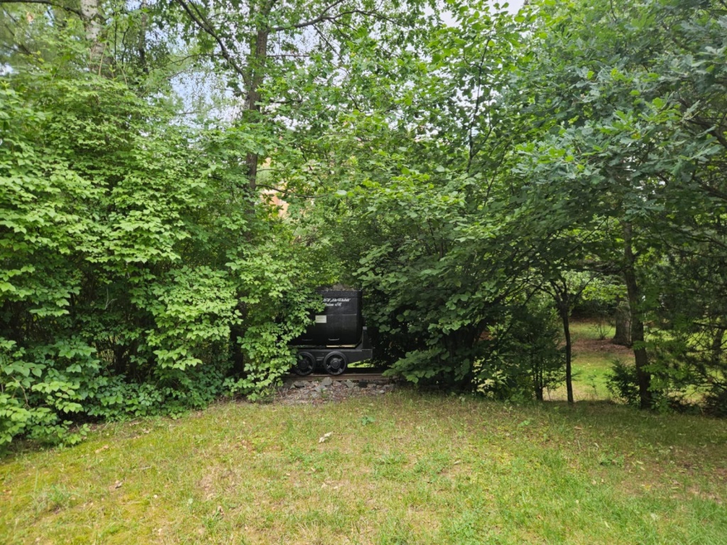 WG-Zimmer Campus Leipziger Straße 18 - Garten