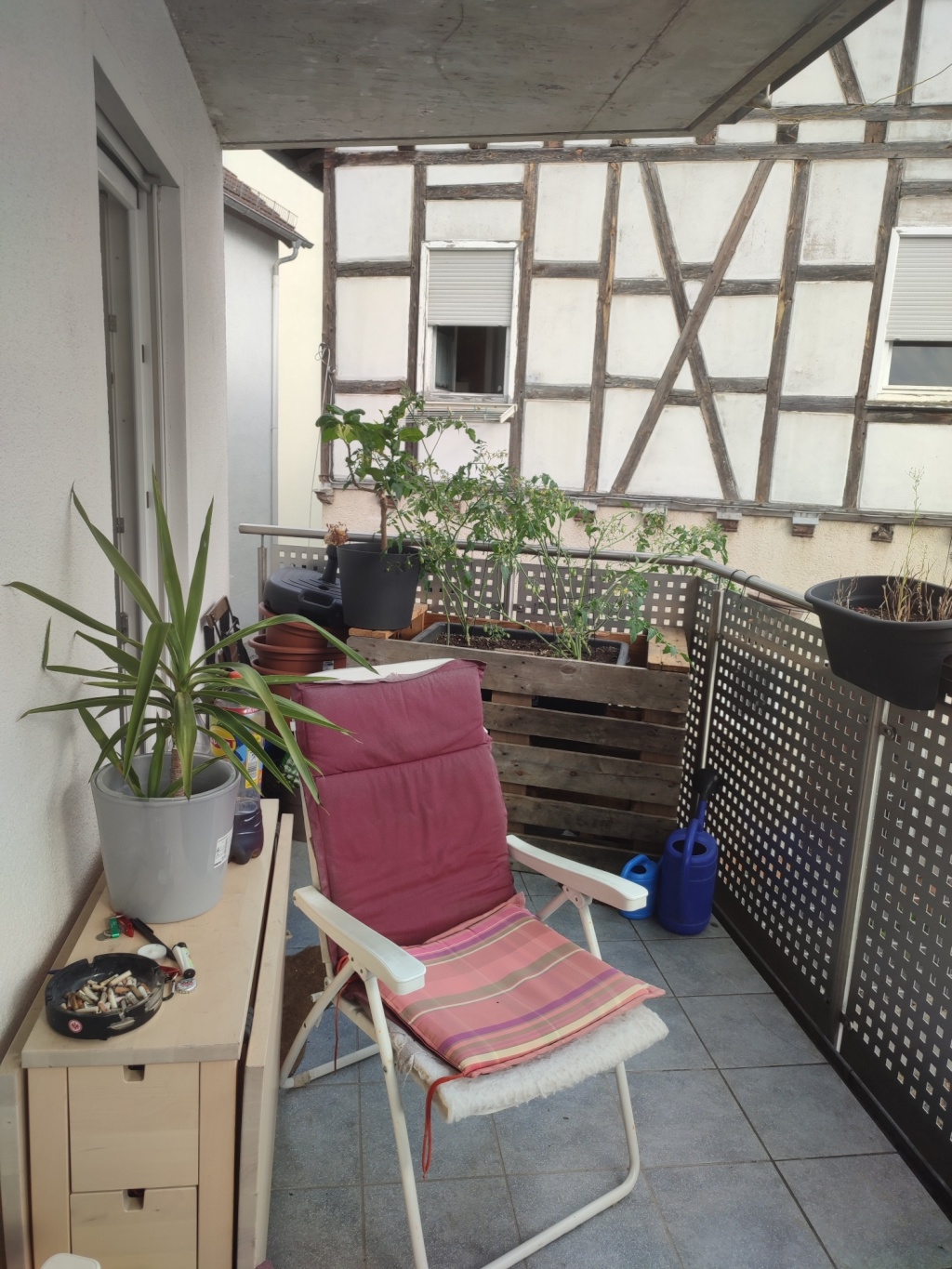 Flat Gieen Schiffenberger Weg 28 - picture 6