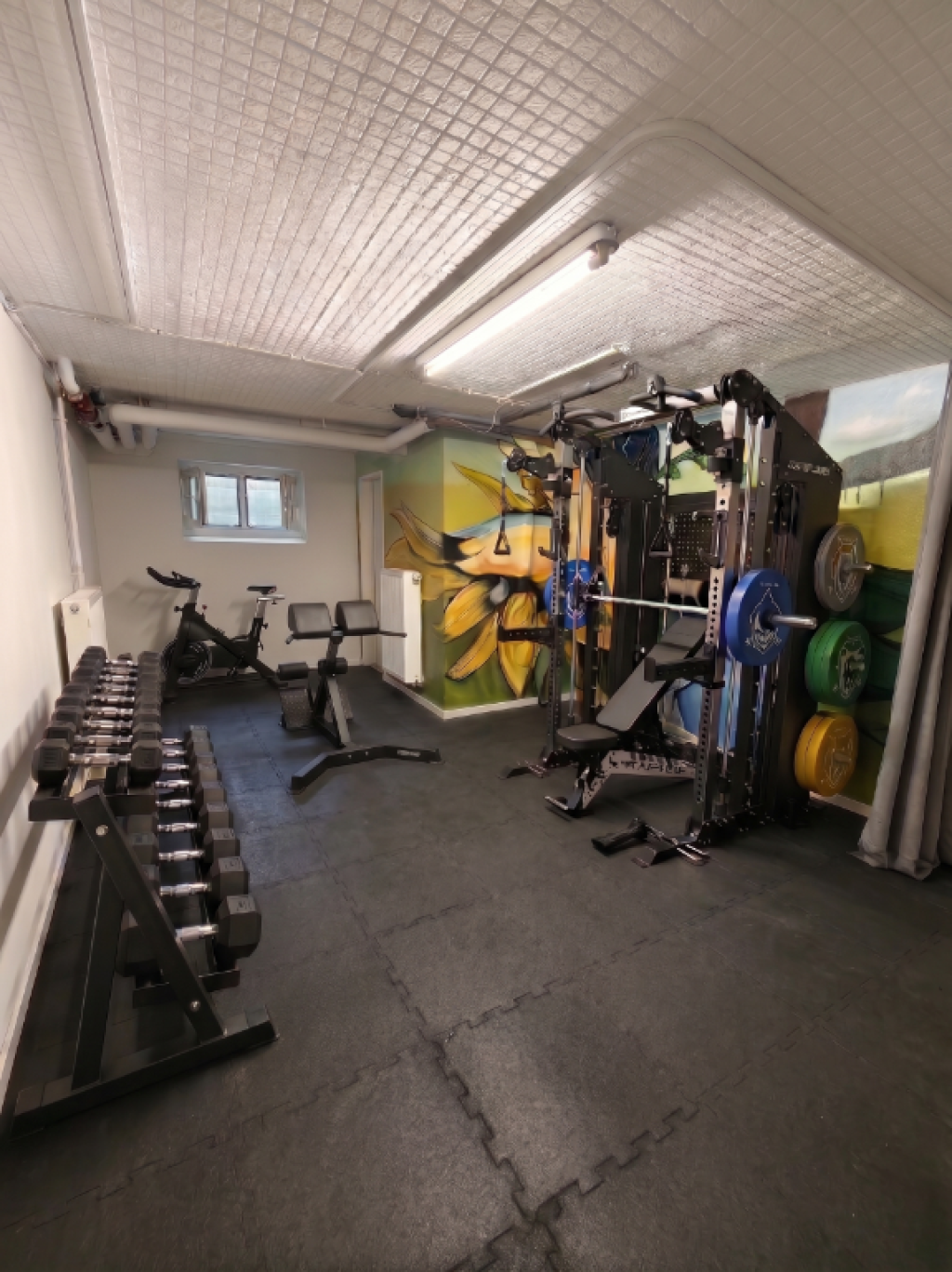 WG-Zimmer Berg Fidel Mazzottistraße - Visualization of our new home gym, available around October 15th.