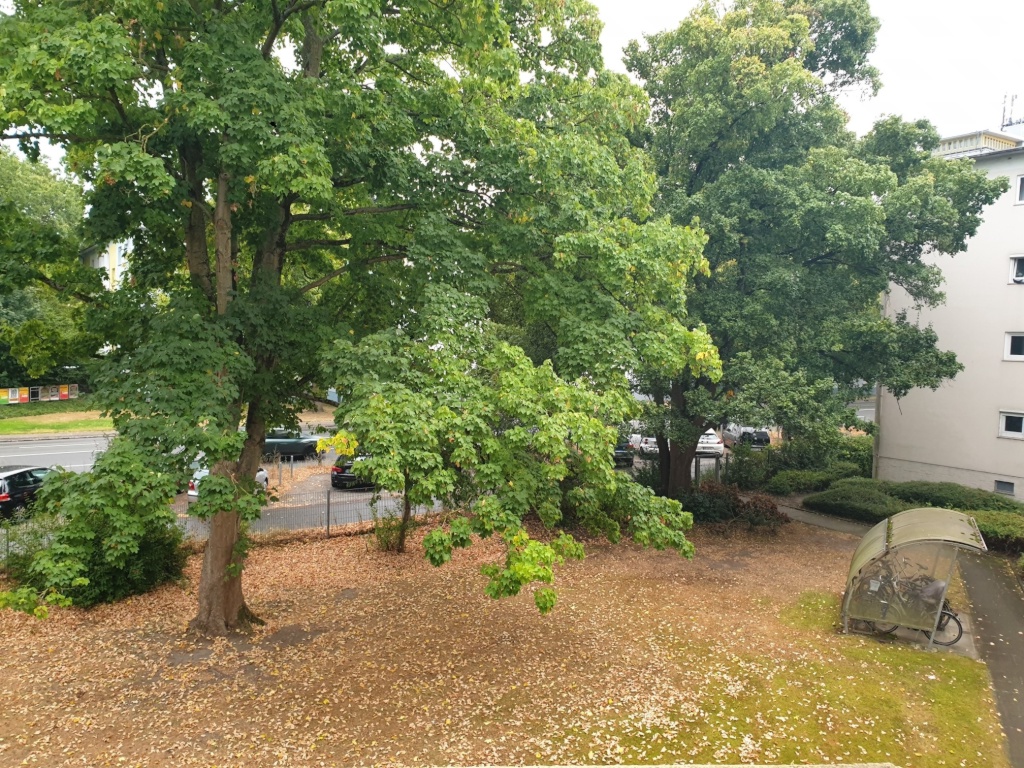 WG-Zimmer Westend Johann-Bornemacher-Straße 6 - Bild 7