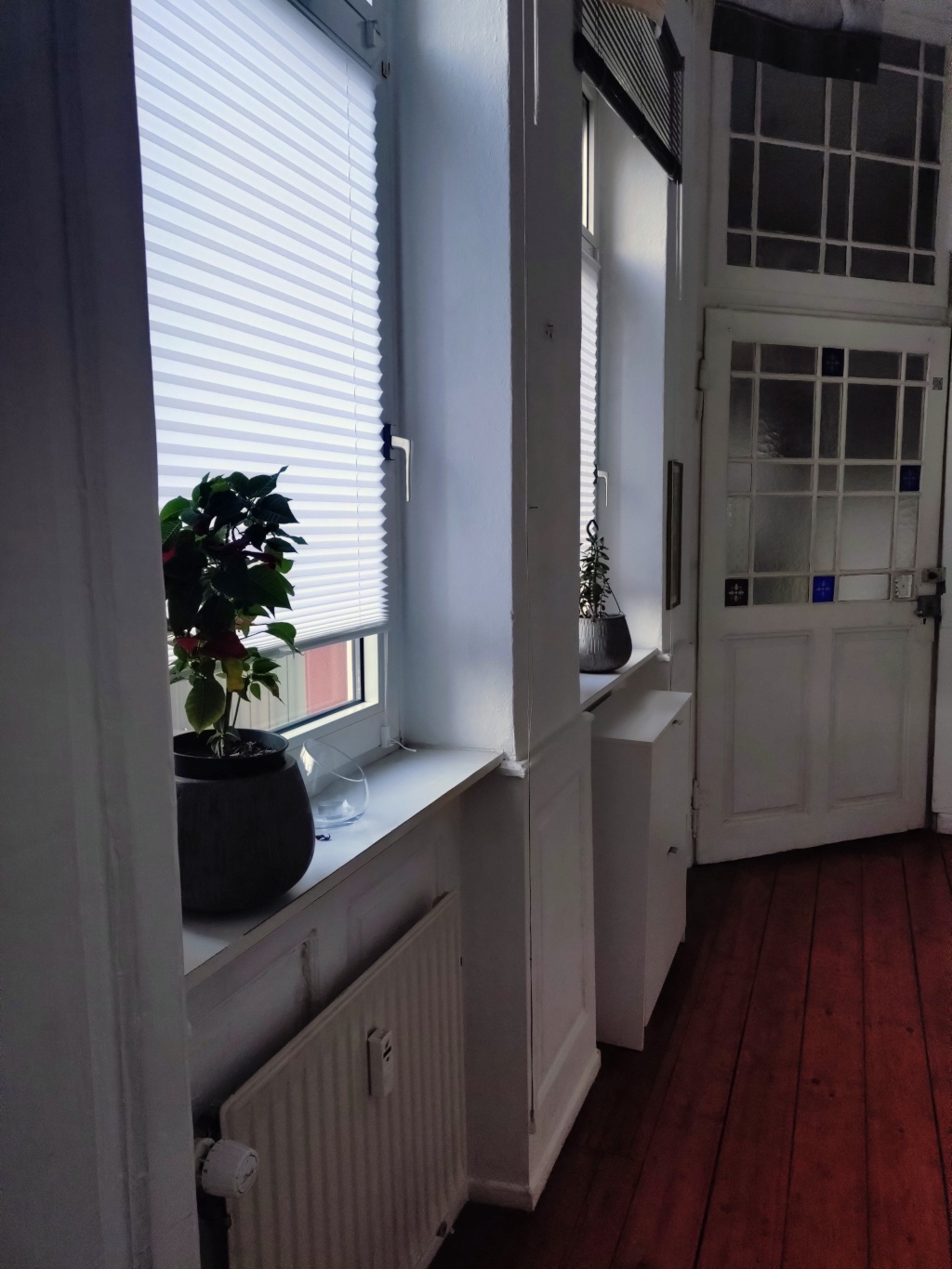 Nachmieter für wunderschöne, super zentrale 2-Zimmer-Altbauwohnung gesucht