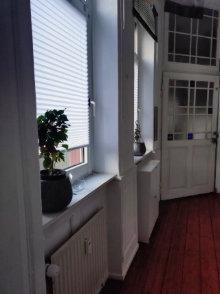 Imagen del anuncio: Nachmieter für wunderschöne, super zentrale 2-Zimmer-Altbauwohnung gesucht