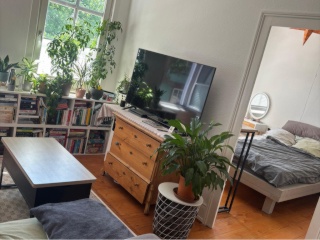 Zwischenmiete in Frankfurt-West