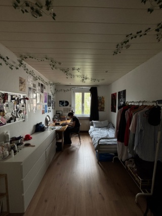 ROOM 550€ with anmeldung, long-term | only girls — photo 1