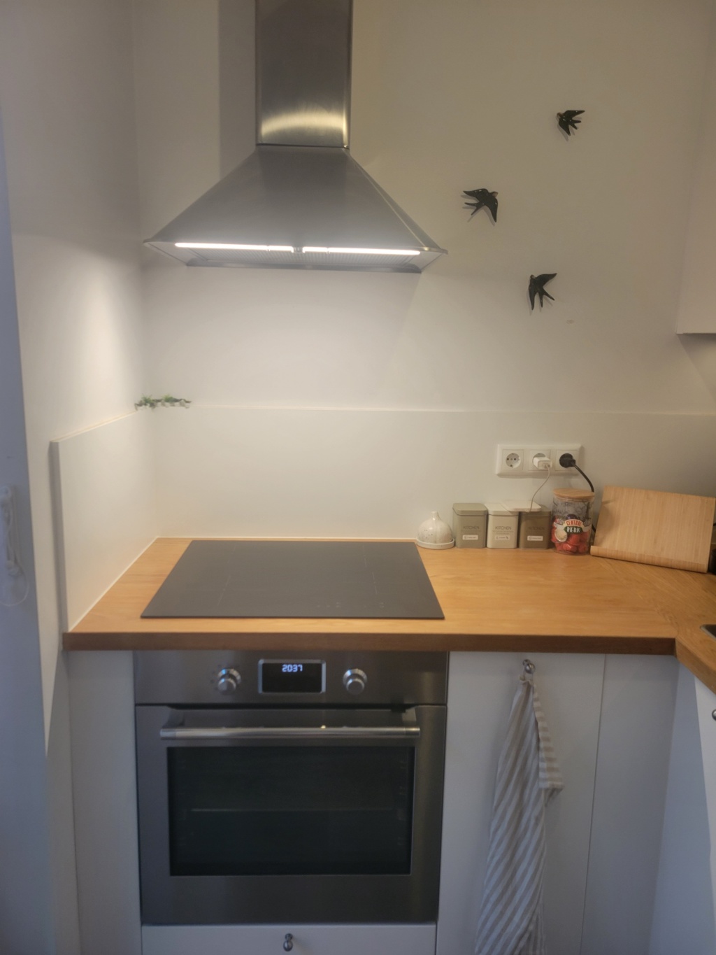 Wohnung Wedding Wiesenstraße 55 - Induktionsherd und Backofen