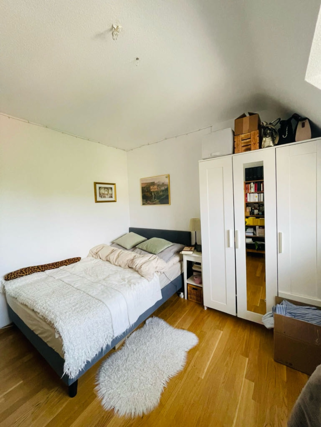 Flatshare Neuburg/Herdern Ludwigstraße - picture 7
