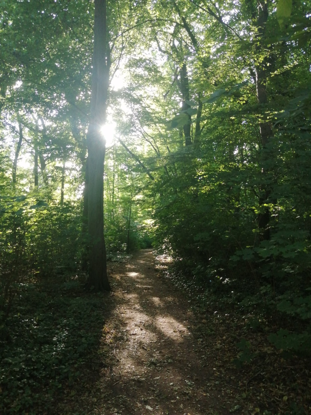Flat Plänterwald Platanenweg - wald & spree direkt vor der tür
